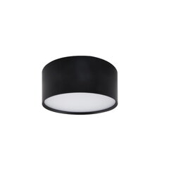 Light Prestige потолочный светильник Kendal цена и информация | Потолочные светильники | pigu.lt