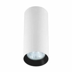 Light Prestige потолочный светильник Manacor цена и информация | Потолочные светильники | pigu.lt