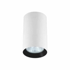 Light Prestige lubinis šviestuvas Manacor kaina ir informacija | Lubiniai šviestuvai | pigu.lt