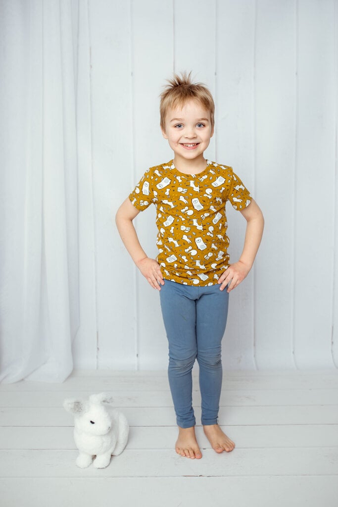 Vaikiški marškinėliai su laukiniais gyvūnais Safal Kids, odai saugus audinys, sertifikuotas "eco-tex", gaminamas Estijoje. цена и информация | Marškinėliai berniukams | pigu.lt