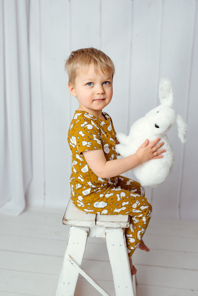 Vaikiški marškinėliai su laukiniais gyvūnais Safal Kids, odai saugus audinys, sertifikuotas "eco-tex", gaminamas Estijoje. цена и информация | Marškinėliai berniukams | pigu.lt