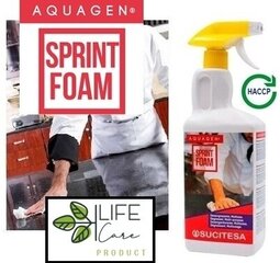 Обезжириватель Aquagen Sprint Foam, 1 л цена и информация | Очистители | pigu.lt