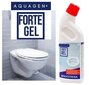 Gelinis WC valiklis Aquagen Forte GEL, 1 l цена и информация | Valikliai | pigu.lt