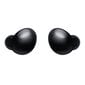 Samsung Galaxy Buds 2 Black Onyx SM-R177NZTAEUD цена и информация | Ausinės | pigu.lt