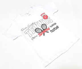 Футболка для мальчиков цена и информация | Рубашка для мальчиков | pigu.lt