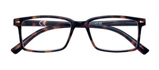 Очки для чтения ZIPPO (+3.00) 31Z-B21-DEM цена и информация | Очки | pigu.lt