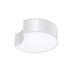 Sollux lubinis šviestuvas Circle kaina ir informacija | Lubiniai šviestuvai | pigu.lt