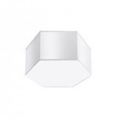 Plafond SUNDE 15 white SPANISH ORANGE SL.1058 цена и информация | Потолочные светильники | pigu.lt