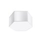 Sollux lubinis šviestuvas Sunde цена и информация | Lubiniai šviestuvai | pigu.lt