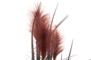 Искусственный тростник в горшке, 334649, 81 см, бордовый цена и информация | Искусственные цветы | pigu.lt
