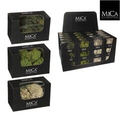 Декоративное растение Mica Decorations 50 g Мох цена и информация | Искусственные цветы | pigu.lt