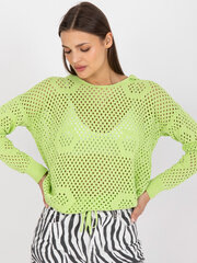 Женский светло-зеленый классический свитер цена и информация | Женские кофты | pigu.lt