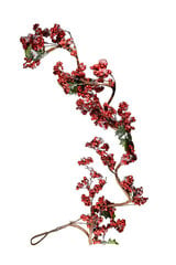 Веточка рябины цена и информация | Рождественское украшение CA1031, 10 см | pigu.lt