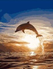 Kартины по номерам "Дельфин на закате" 40x50 G  KTMK-13385 цена и информация | Набор для рисования по номерам | pigu.lt