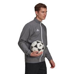 Vyriškas megztinis Adidas Entrada 22 H57535, pilkas kaina ir informacija | Futbolo apranga ir kitos prekės | pigu.lt