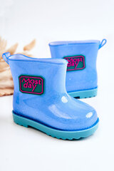Guminiai batai vaikams BSB19733, mėlyni kaina ir informacija | Guminiai batai vaikams | pigu.lt