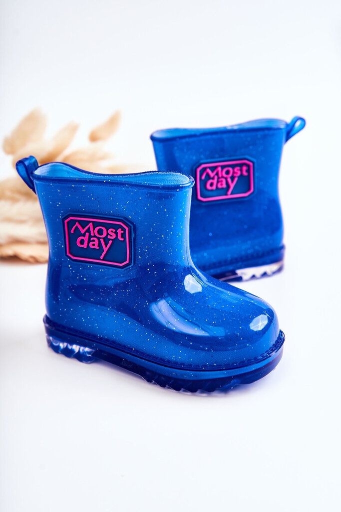 Guminiai batai vaikams BSB19734, mėlyni цена и информация | Guminiai batai vaikams | pigu.lt