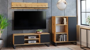 Tv staliukas Focus RTV 155x49x40 cm, natūralios medžio / juodos spalvos kaina ir informacija | TV staliukai | pigu.lt