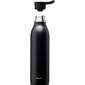 Terminis butelis CityLoop Thermavac eCycle vandens butelis 0,6 l perdirbto nerūdijančio plieno. plieno juodas цена и информация | Virtuvės įrankiai | pigu.lt