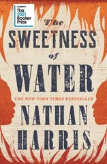 Sweetness of Water: Longlisted for the 2021 Booker Prize цена и информация | Романы | pigu.lt