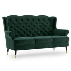 Sofa Homede Dolo 3S, žalia kaina ir informacija | Sofos | pigu.lt
