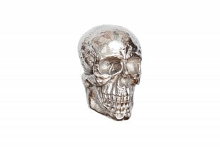 Sieninė dekoracija Invicta Skull, sidabrinė цена и информация | Детали интерьера | pigu.lt