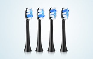 Fairywill P11/P80 toothbrush tips (black) цена и информация | Насадки для электрических зубных щеток | pigu.lt