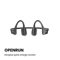 Shokz Open Run S803, Juoda цена и информация | Теплая повязка на уши, черная | pigu.lt