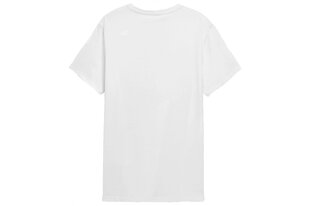 Marškinėliai vyrams 4F H4L22 TSM014 kaina ir informacija | Vyriški marškinėliai | pigu.lt