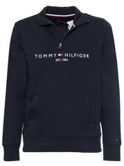 Джемпер мужской Tommy Hilfiger 8720115237703 цена и информация | Мужские толстовки | pigu.lt