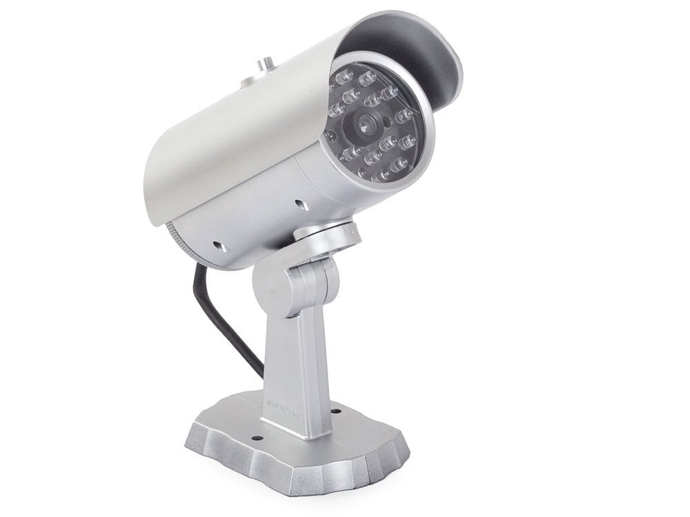 Lauko naktinė kamera LED kaina ir informacija | Stebėjimo kameros | pigu.lt