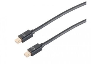 Kabelis AMBERIN Mini DisplayPort - Mini DisplayPort, 2.0 m kaina ir informacija | Kabeliai ir laidai | pigu.lt