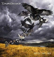 Диск CD DAVID GILMOUR Rattle That Lock CD цена и информация | Виниловые пластинки, CD, DVD | pigu.lt