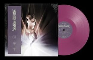 2LP The Smashing Pumpkins CYR (Orchid Vinyl) Vinilinė plokštelė kaina ir informacija | Vinilinės plokštelės, CD, DVD | pigu.lt