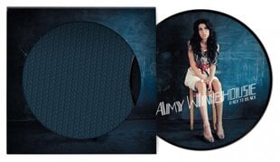 LP Amy Winehouse Back To Black (Limited Edition) (Picture Disc) Vinilinė plokštelė kaina ir informacija | Vinilinės plokštelės, CD, DVD | pigu.lt