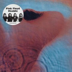 Пластинка CD PINK FLOYD Meddle (Remastered) CD цена и информация | Виниловые пластинки, CD, DVD | pigu.lt