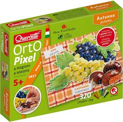 Мозаика Orto Pixel, Quercetti 0837 Li цена и информация | Развивающие игрушки | pigu.lt