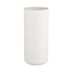Keraminė vaza 11X11X25 CM, balta kaina ir informacija | Vazos | pigu.lt