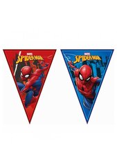 Гирлянда-вымпел Spiderman Team Up 89450, 230 х 25 см цена и информация | Праздничные декорации | pigu.lt