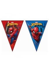 Girlianda iš vėliavėlių "Spiderman", 1 vnt. / 2,3 m kaina ir informacija | Dekoracijos šventėms | pigu.lt