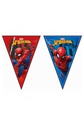 Гирлянда-вымпел Spiderman Team Up 89450, 230 х 25 см цена и информация | Праздничные декорации | pigu.lt