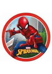 Тарелки "Spiderman Crime Fighter" 23 см, 8 шт цена и информация | Праздничные декорации | pigu.lt