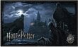 Dėlionė Harry Potter Dementors at Hogwarts, 1000 d. цена и информация | Dėlionės (puzzle) | pigu.lt