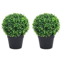 vidaXL Dirbtiniai buksmedžiai vazonuose, 2vnt., žali, 37cm kaina ir informacija | Dirbtinės gėlės | pigu.lt