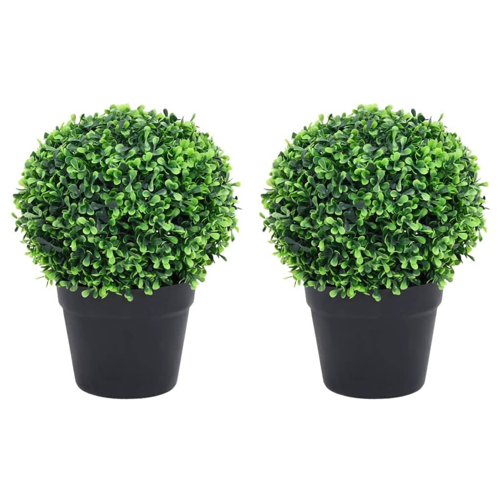 vidaXL Dirbtiniai buksmedžiai vazonuose, 2vnt., žali, 32cm цена и информация | Dirbtinės gėlės | pigu.lt