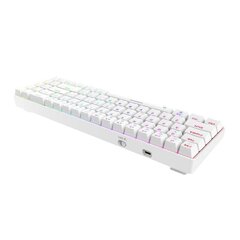 Wireless mechanical keyboard Dareu EK871 Bluetooth + 2.4G RGB (white) цена и информация | Клавиатуры | pigu.lt
