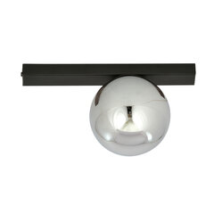 Emibig светильник Fit 1 Black/Grafit цена и информация | Потолочные светильники | pigu.lt