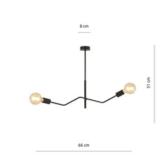 Emibig светильник Frix 2 Black цена и информация | Люстры | pigu.lt