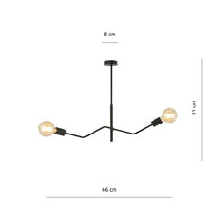 Emibig šviestuvas Frix 2 Black kaina ir informacija | Pakabinami šviestuvai | pigu.lt