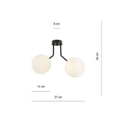 Emibig светильник Nova 2 Black/Opal цена и информация | Потолочные светильники | pigu.lt